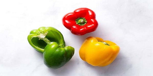 تصویر 5 از قیمت فلفل دلمه ای خام با کیفیت ارزان + خرید عمده